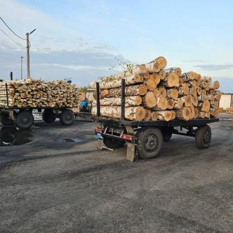 Территория