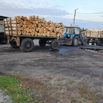 Территория